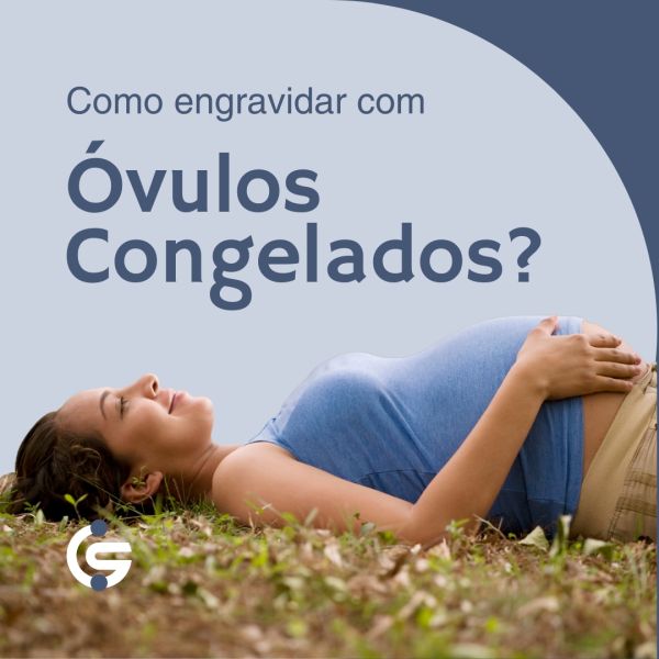 ovulos congelados