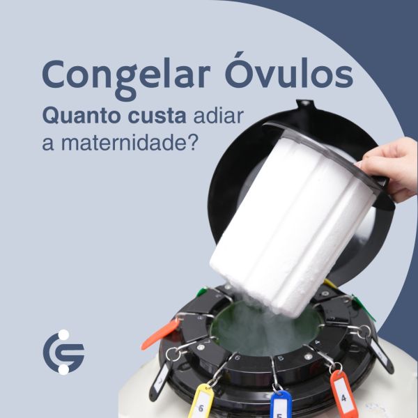 congelar ovulos quanto custa